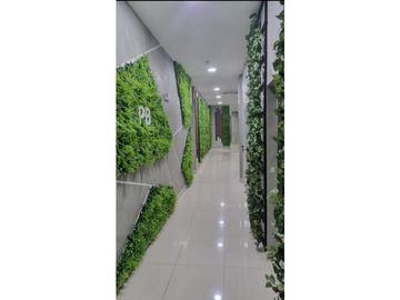 Hermoso Aparta Estudio en Bella Vista (MM)