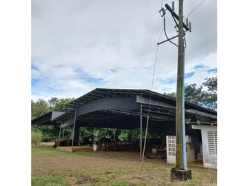 Se Vende Terreno en Aserrio en CHIRIQUI!! >>2.83 Héctareas<<