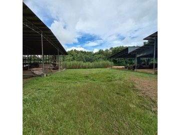 Se Vende Terreno en Aserrio en CHIRIQUI!! >>2.83 Héctareas<<