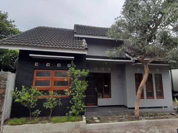 Rumah Strategis Untuk Hunian atau Guesthouse di Plemburan
