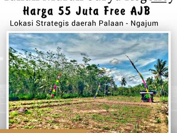 Tanah Dijual Murah di Malang Kabupaten