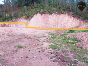 Terreno de venta en Victoria del portete  – código:20791