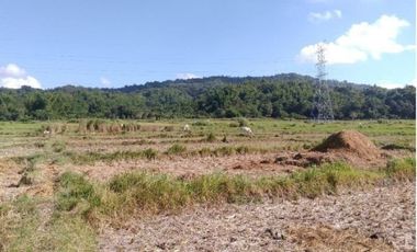 Farm Lot for Sale, Bacnotan, La Union, Ilocos