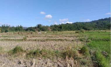 Farm Lot for Sale, Bacnotan, La Union, Ilocos
