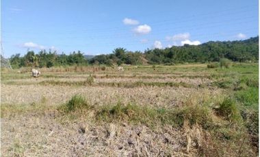 Farm Lot for Sale, Bacnotan, La Union, Ilocos