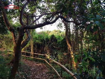 INVEST IN CORNER LOT FACING SOUTHWEST THE GLADES NEAR ADMU