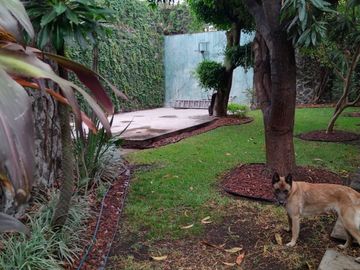 Venta de casa en Fracc Brisas, Temixco, Morelos