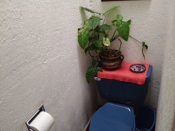Venta de casa en Fracc Brisas, Temixco, Morelos