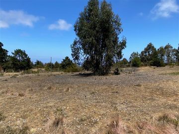 Parcela en Venta en Los Aromos de Tunquen