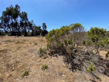 Parcela en Venta en Los Aromos de Tunquen