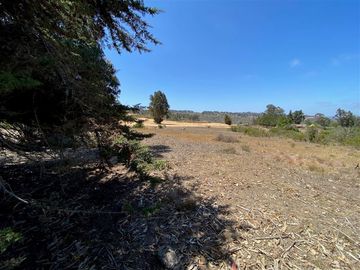 Parcela en Venta en Los Aromos de Tunquen