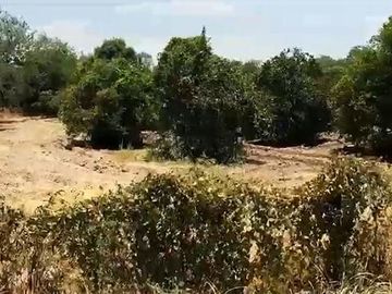 Terreno en Venta en General Terán, Nuevo Leon.