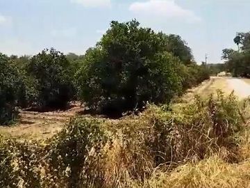 Terreno en Venta en General Terán, Nuevo Leon.