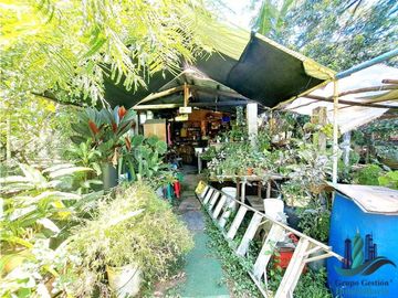 VENDO CASA EN TERRENO DE 2000M2 DOLEGA