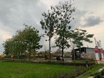 Tanah Murah 1 menit ke Kota Klaten