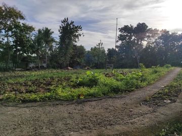 Tanah Jogja Sentolo 1 Jt-an, SHM AJB Siapa Bangun