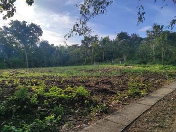 Tanah Jogja Sentolo 1 Jt-an, SHM AJB Siapa Bangun