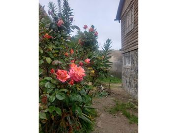 Mística y Maravillosa Casa con Vista al Mar, El Quisco
