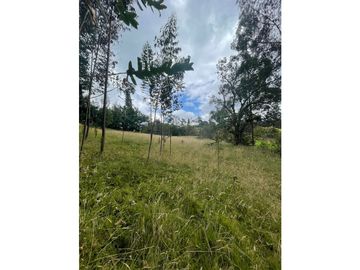 COGUA LOTE VEREDA EL DURAZNO