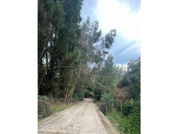 COGUA LOTE VEREDA EL DURAZNO