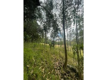 COGUA LOTE VEREDA EL DURAZNO