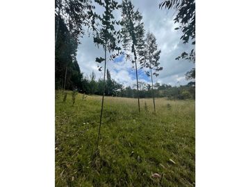 COGUA LOTE VEREDA EL DURAZNO