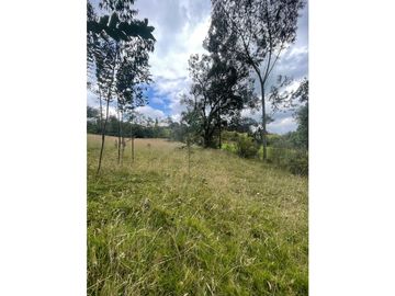 COGUA LOTE VEREDA EL DURAZNO
