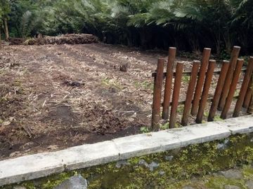 Tanah Dijual Murah Di Merdikorejo Tempel Yogyakarta