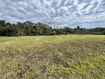 VENTA DE LOTE CAMPESTRE EN FILANDIA, QUINDIO, COLOMBIA