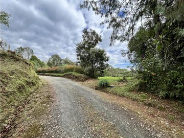 VENTA DE LOTE CAMPESTRE EN FILANDIA, QUINDIO, COLOMBIA