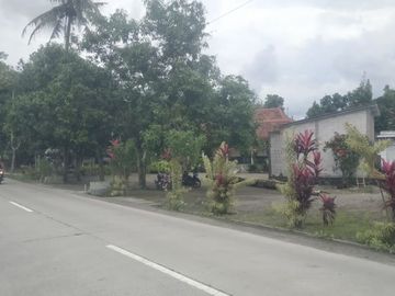 Rumah Nyaman dan Asri 1 Unit Terakhir Dekat Jl Nangsri