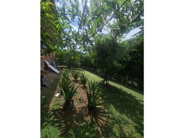 Venta Casa Campestre Tebaida Quindio COD: 6787395