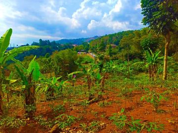 Investasi Jawa Barat Kavling Kebun View Cantik Cimenyan