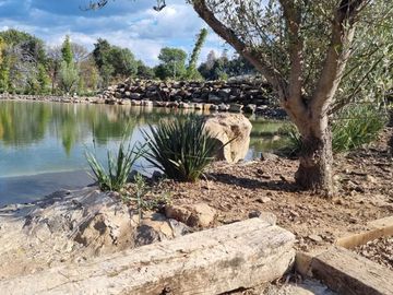MAGNIFICO RANCHO EN VENTA, ACATITLAN