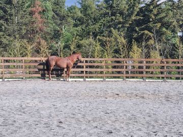MAGNIFICO RANCHO EN VENTA, ACATITLAN