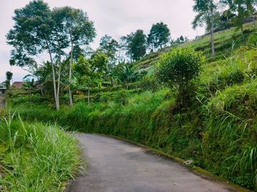 Tanah View Kebun Teh Cocok untuk Villa Kemuning Karanganyar