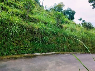 Tanah View Kebun Teh Cocok untuk Villa Kemuning Karanganyar