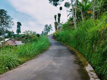 Tanah View Kebun Teh Cocok untuk Villa Kemuning Karanganyar