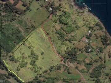 Parcelas con vista y acceso al Lago Ranco