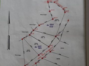Tanah pekarangan luas di Kalibawang, Kulonprogo