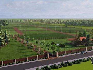 Parcelas 5000 m2 en en Venta en Talca Loteo 3 Reinas