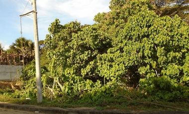 Most Affordable 129 Sqm Lot for Sale in Greenwoods near Talamban Cebu City