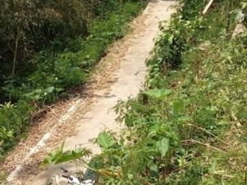 Tanah karangpandan dekat kampung karet