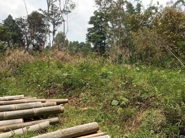 Tanah karangpandan dekat kampung karet