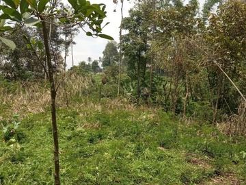 Tanah karangpandan dekat kampung karet