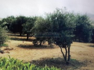 Terrenos Residenciales Venta Proyecto Condominio El Olivar Pampa La Quipa  - PUCUSANA