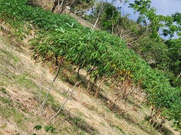 Finca en Venta Los Bajos de Montecristi