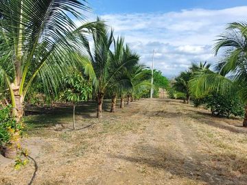 Finca en Venta Los Bajos de Montecristi