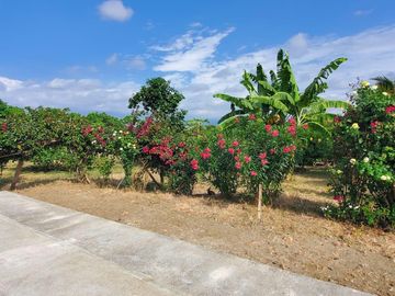 Finca en Venta Los Bajos de Montecristi