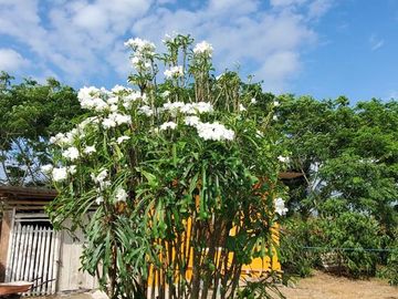 Finca en Venta Los Bajos de Montecristi